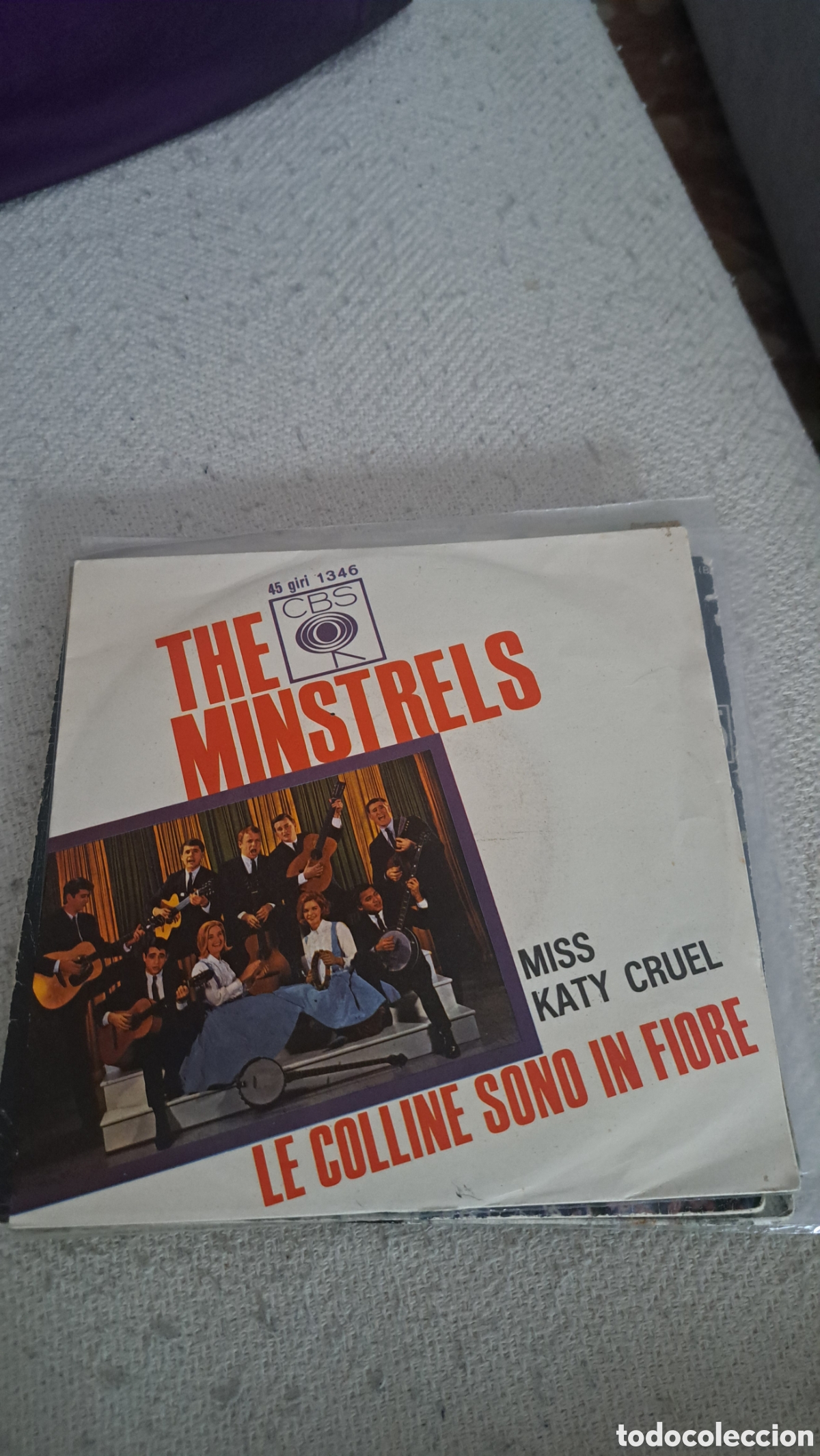 Discos de vinilo: The Minstrels Miss katy cruel