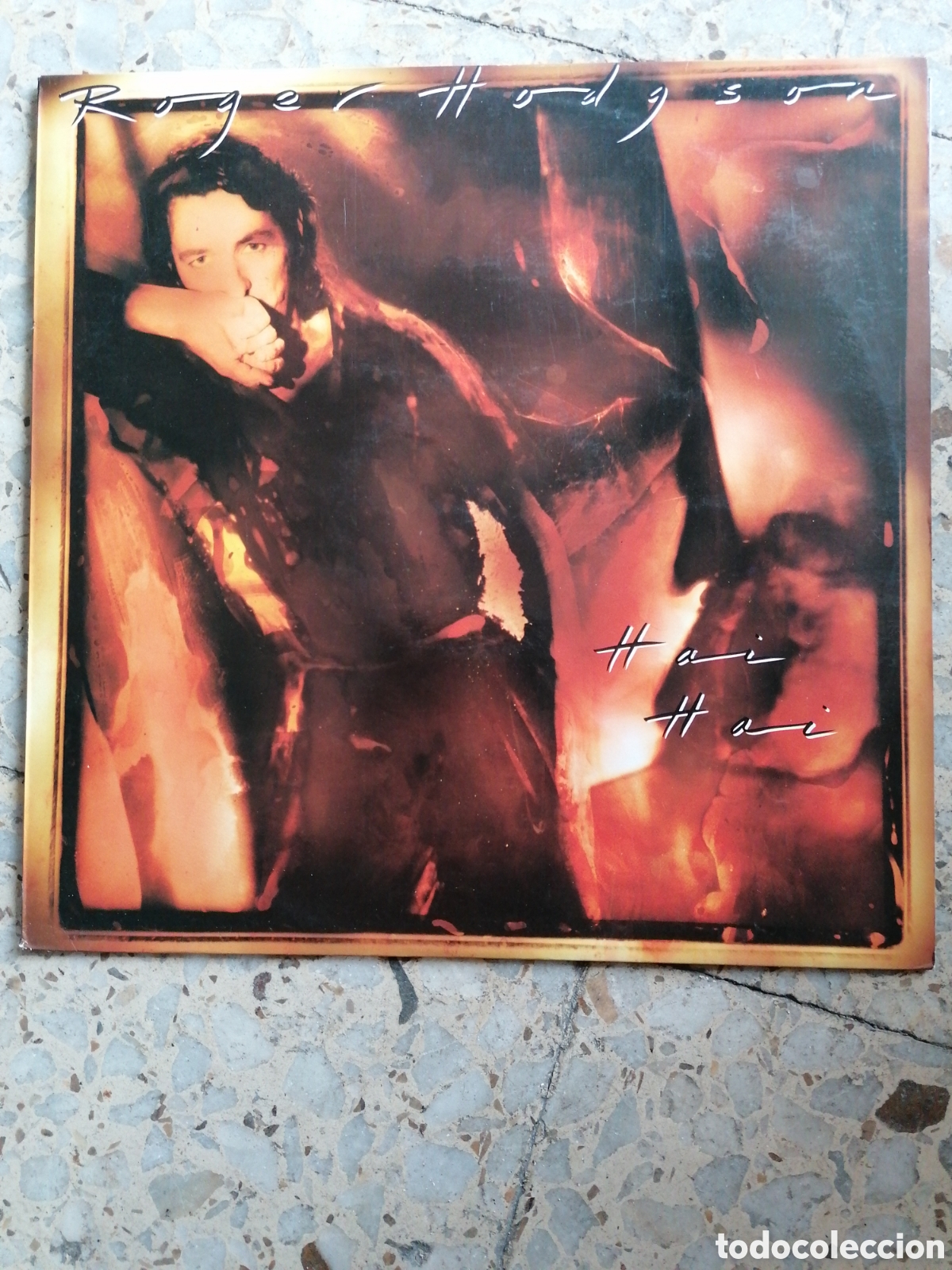 Vinyl-Schallplatten: LP ROGER HODGSON HAI HAI 1987 ESPA&Ntilde;A INSERT EX