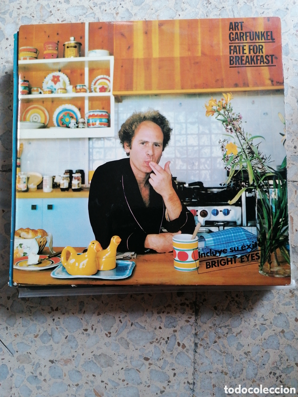 Disques de vinyle: LP ART GARFUNKEL FATE FOR BREAKFAST 1979 ESPA&Ntilde;A INSERT
