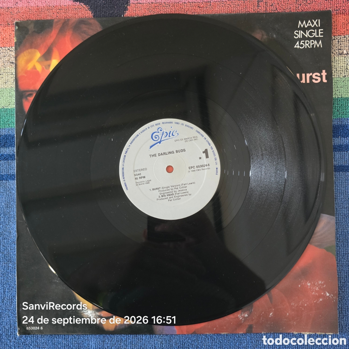Discos de vinilo: [MAXI SINGLE] THE DARLING BUDS: BURST (EPIC) (1988) - Foto 2