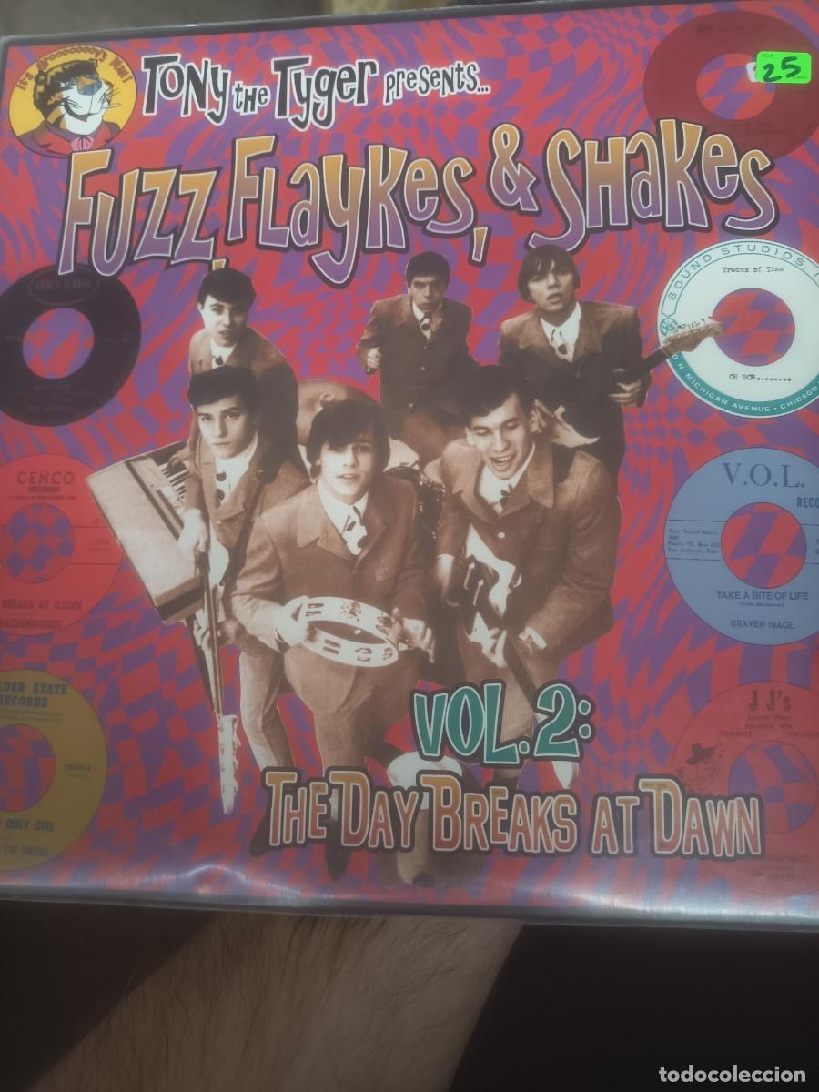 Discos de vinilo: DISCO LP FUZZ, FLAYKES & SHAKES