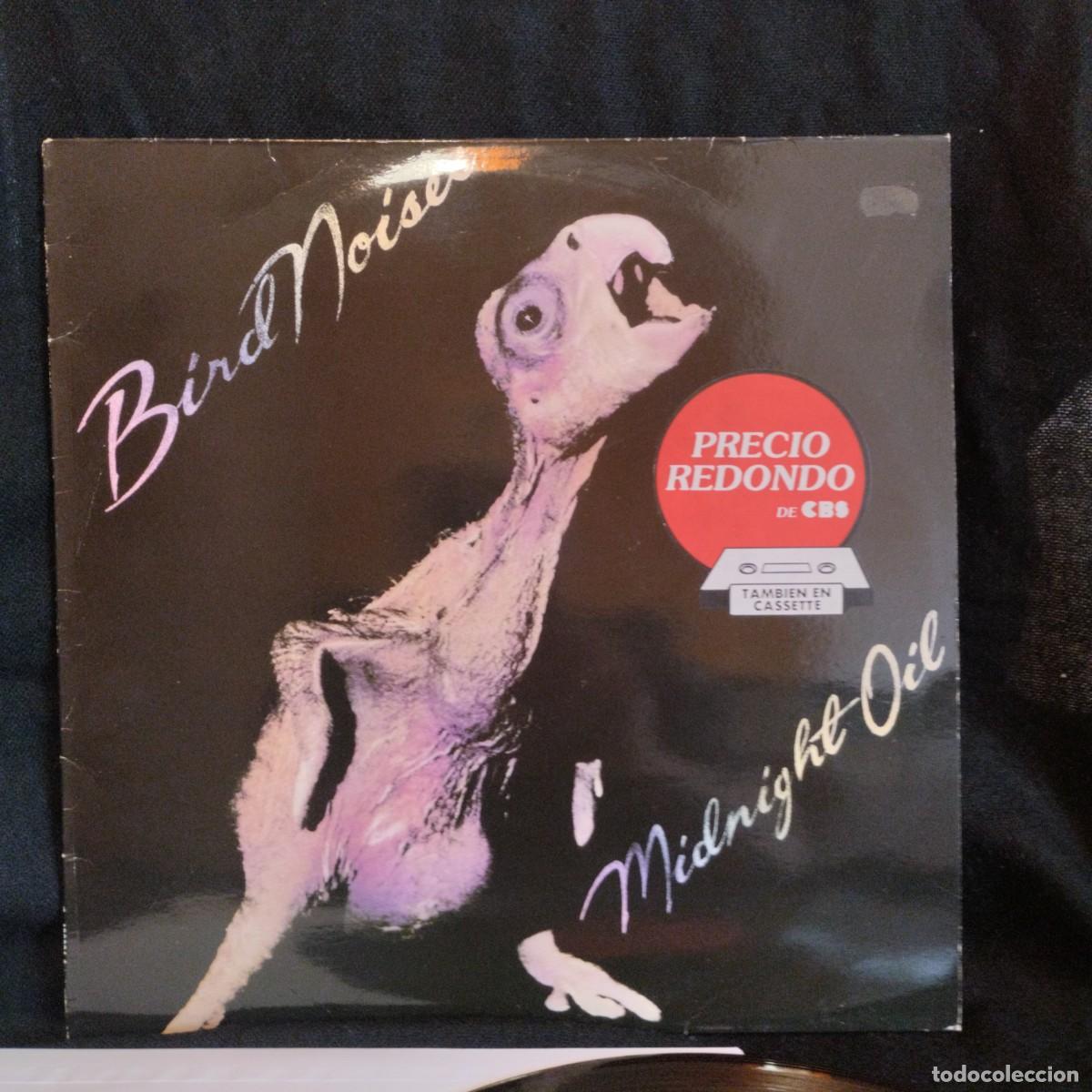 Discos de vinilo: Maxi Midnight Oil - Bird Noises (12&rdquo;, EP, RE) 1990 Espa&ntilde;a, precio redondo, dif&iacute;cil edici&oacute;n
