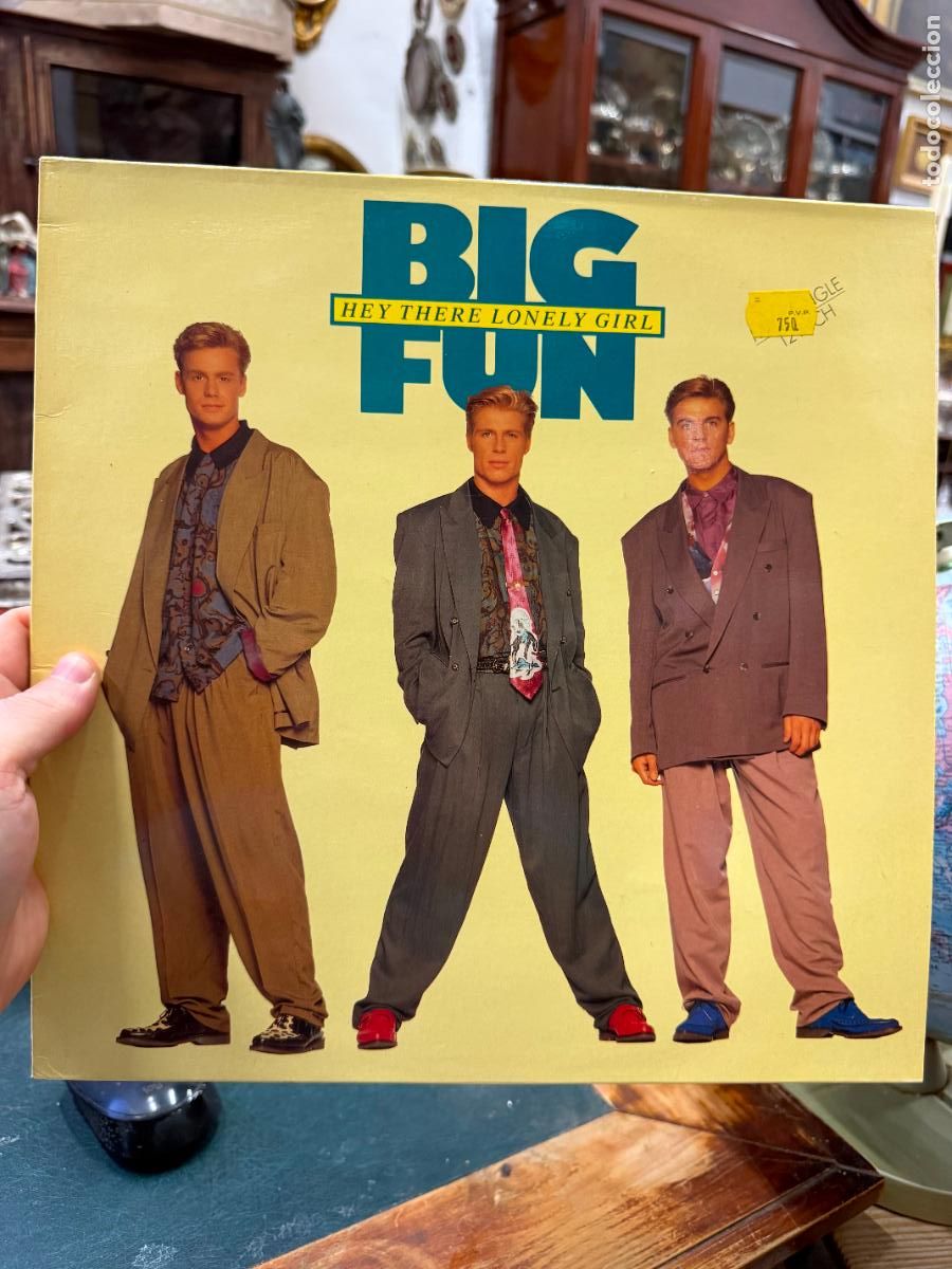 Discos de vinilo: LP BIG FUN - HEY THERE LONELY GIRL