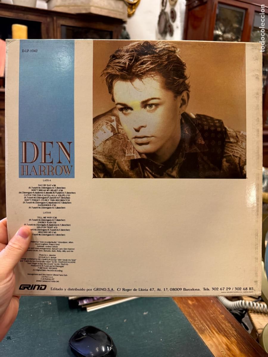 Discos de vinilo: LP DEN HARROW - DAY BY DAY - Foto 2