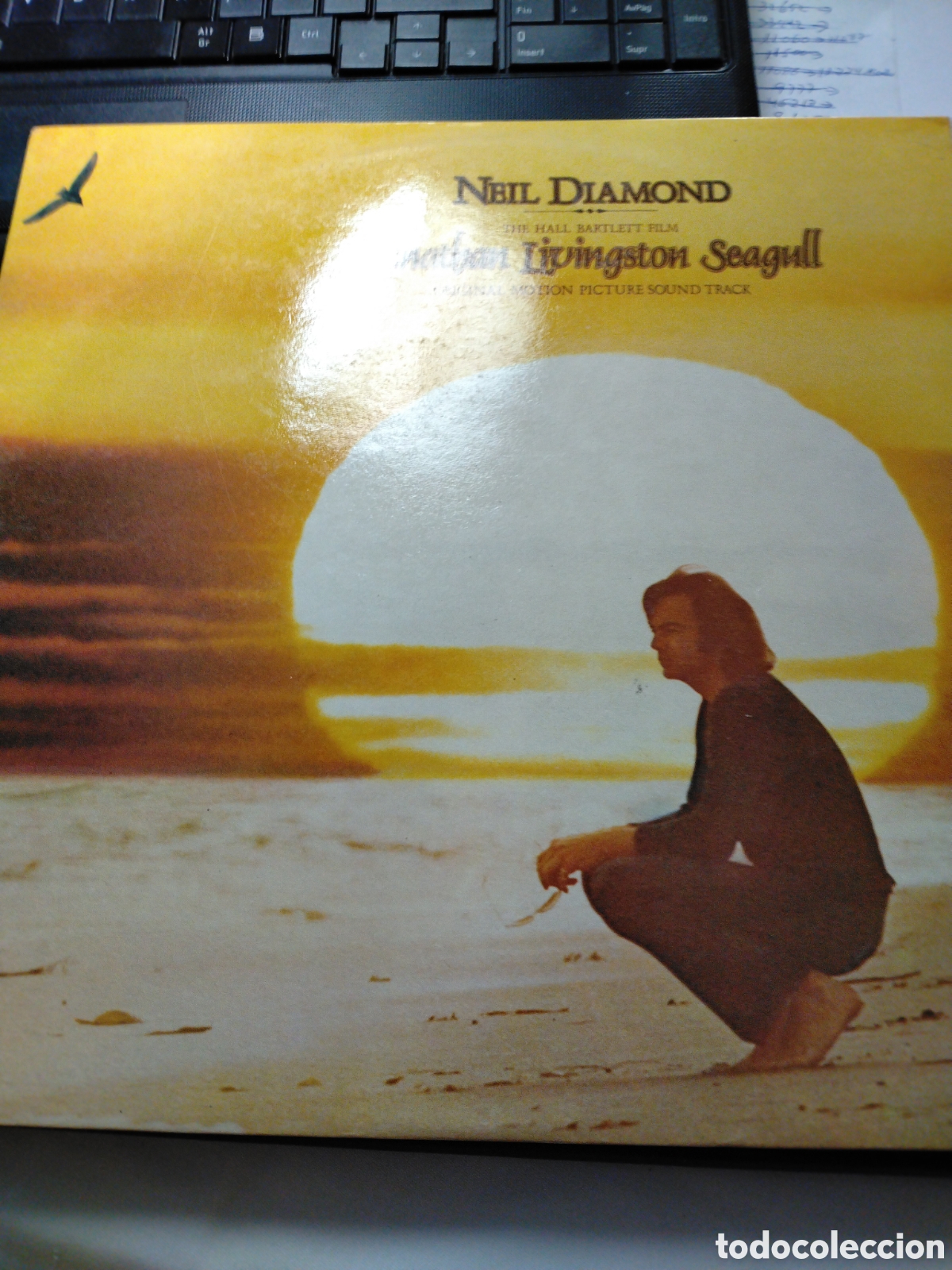 Discos de vinilo: NEIL DIAMOND - THE HALL BARTLETT FILM - JONATHAN LIVINGSTON SEAGULL - LP CBS 1973.