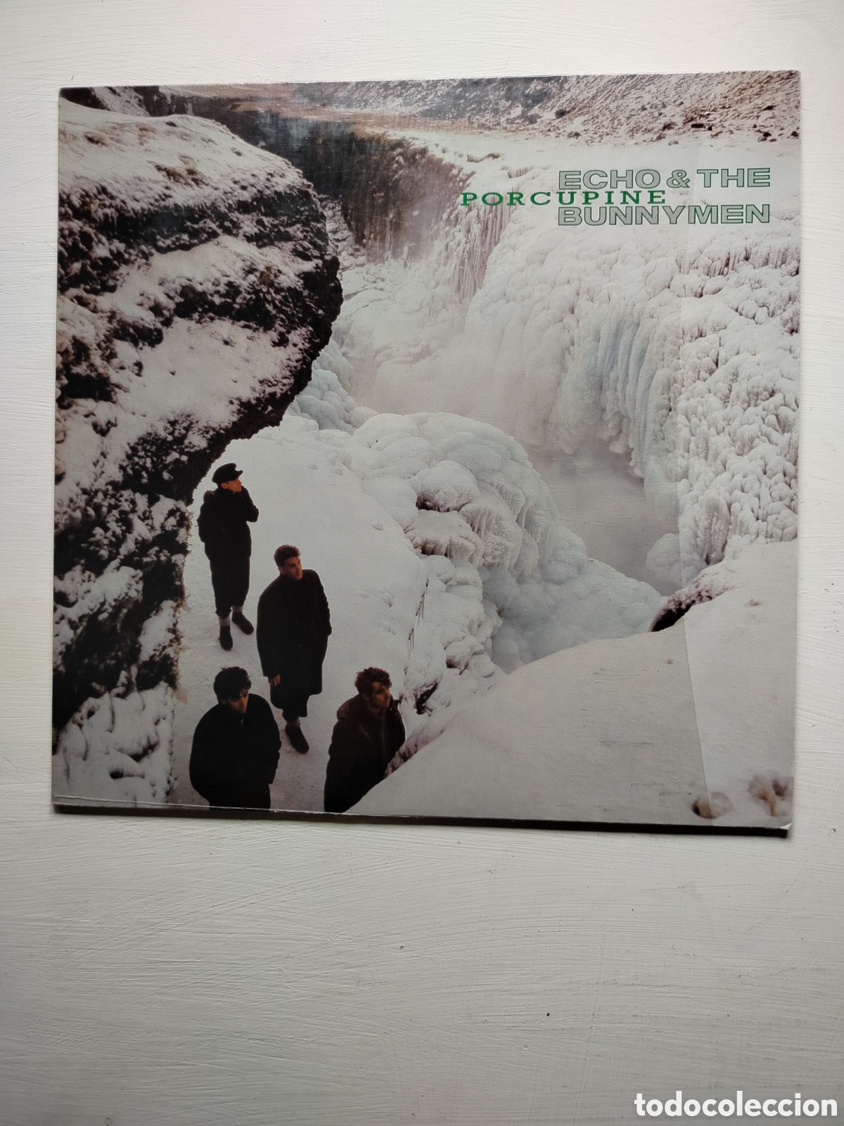 Discos de vinilo: Echo & The Bunnymen LP