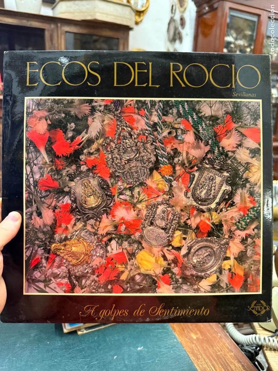 Discos de vinilo: LP ECOS DEL ROCIO - A GOLPES DE SENTIMIENTO