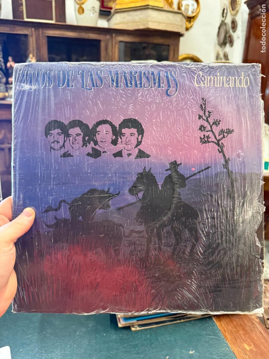 Discos de vinilo: LP ECOS DEL ROCIO - CAMINANDO
