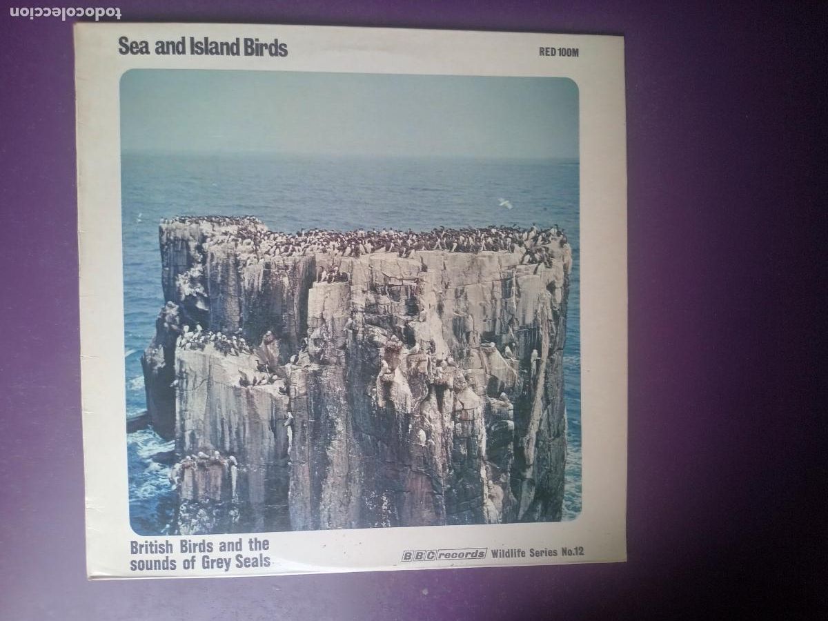 Discos de vinilo: Sea And Island Birds - SONIDOS DE PAJAROS DE LAS ISLAS IGLESAS - LP BBC 1971 - GAVIOTAS, CORMORANES,
