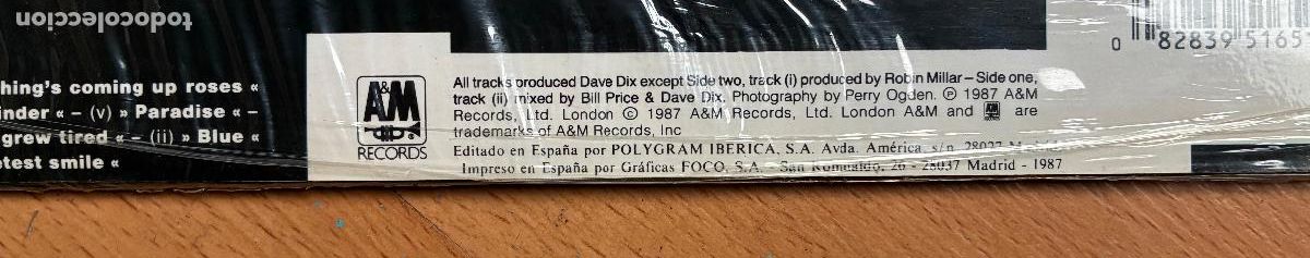 Discos de vinilo: BLACK, Wonderful Life, LP - Foto 5