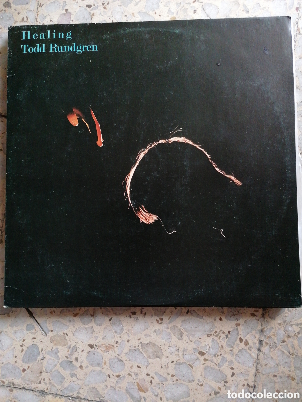 Discos de vinilo: LP TODD RUNDGREN HEALING 1981 ESPA&Ntilde;A EX - Foto 1