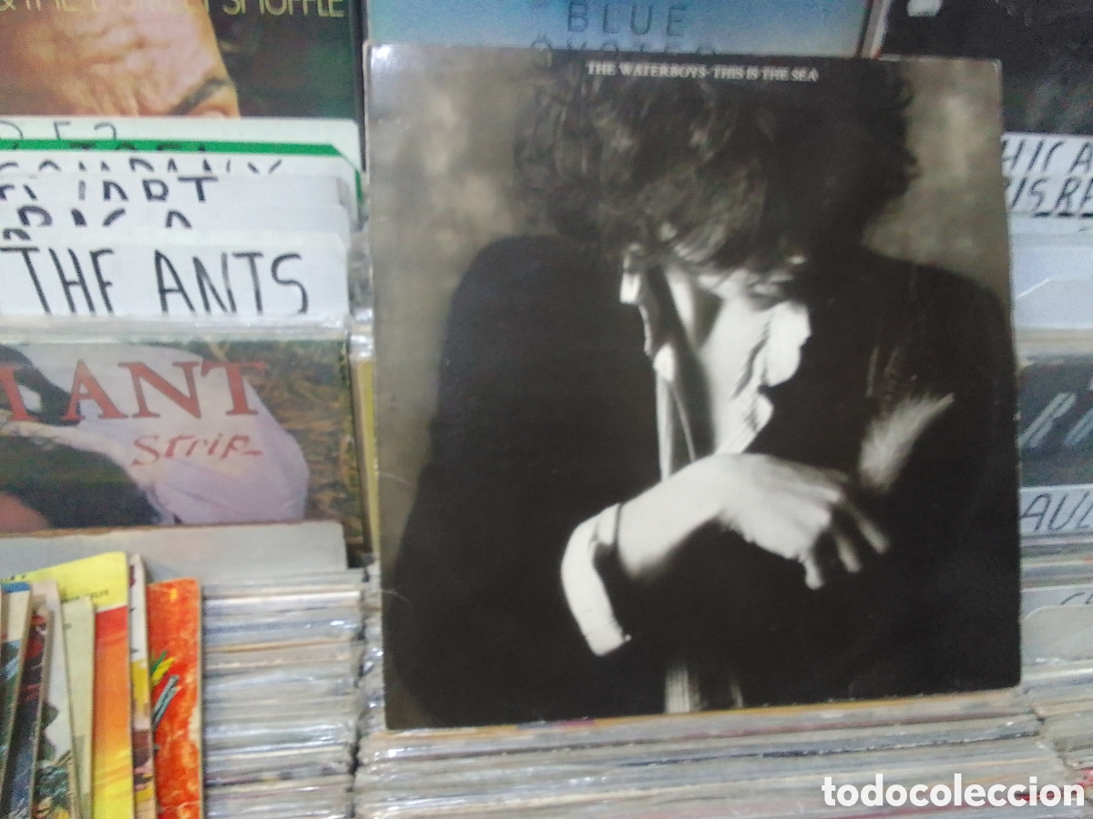 Discos de vinilo: The waterboys, this is the sea