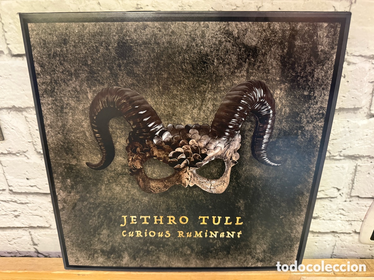 Discos de vinilo: Jethro Tull &lrm;&ndash; Curious Ruminant. Lp vinilo perfecto estado
