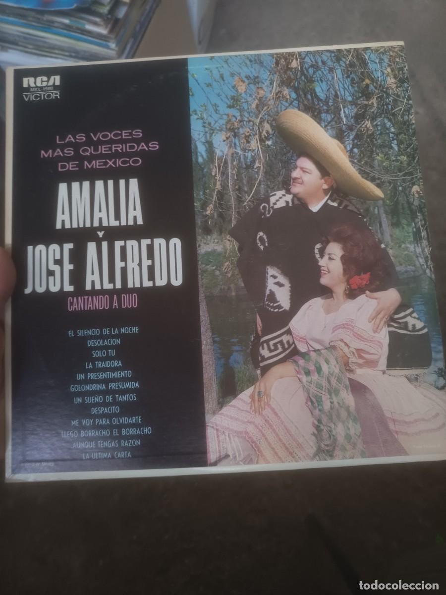 Discos de vinilo: DISCO LP AMALIA Y JOSE ALFREDO,(; MEXICO) - Foto 1