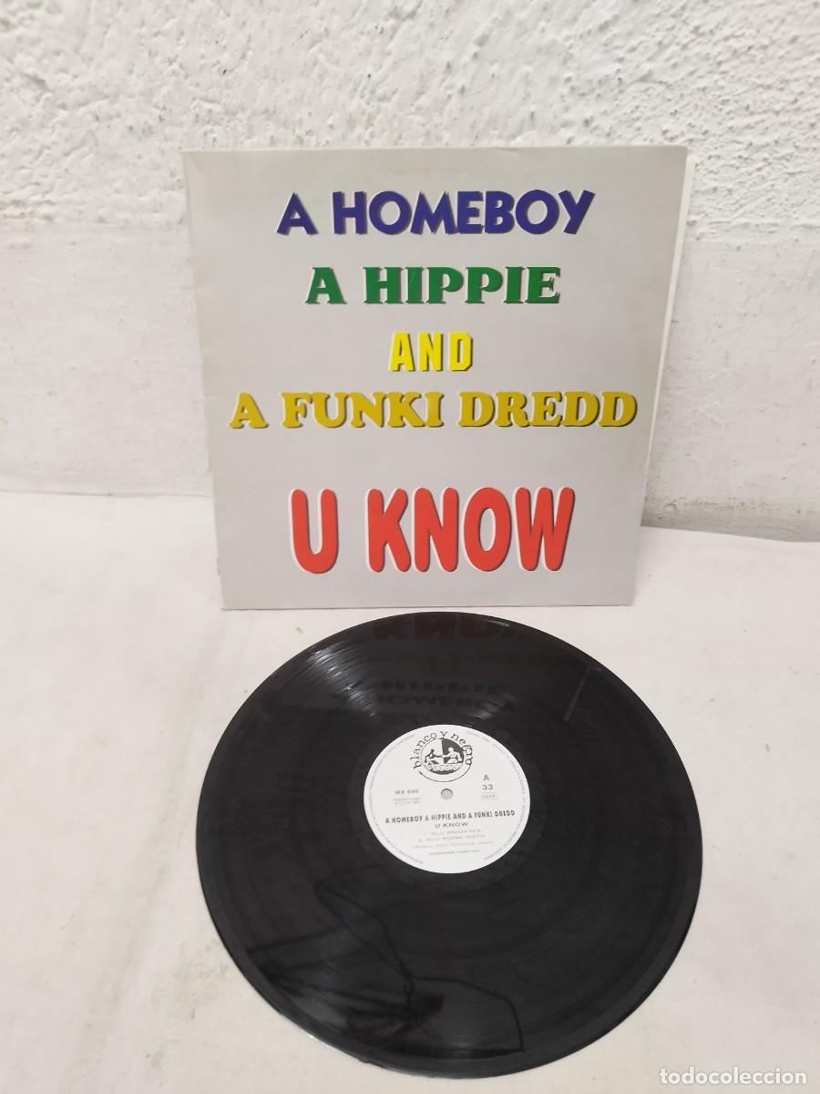 Discos de vinilo: A Homeboy, A Hippie & A Funki Dredd. Vinilo Maxi single.