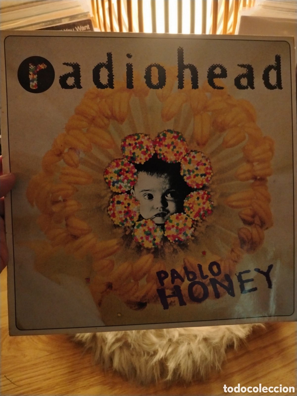 Discos de vinilo: RADIOHEAD - Pablo Honey, LP 1993 - Foto 1