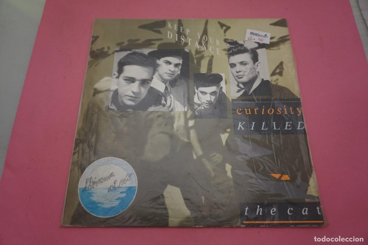 Disques de vinyle: LP/ THE CAT - CURIOSITY KILLED - EL VINILO ESTA EN BUEN ESTADO