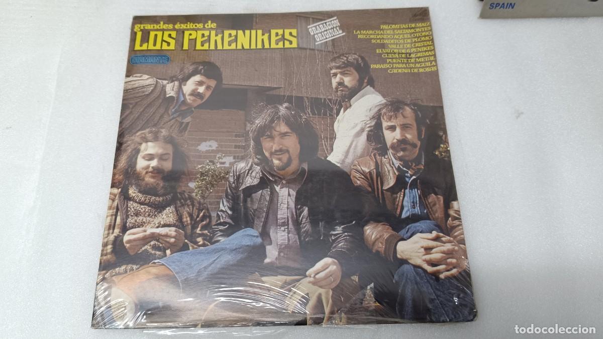 Dischi in vinile: GRANDES EXITOS DE LOS PEKENIKES 1979