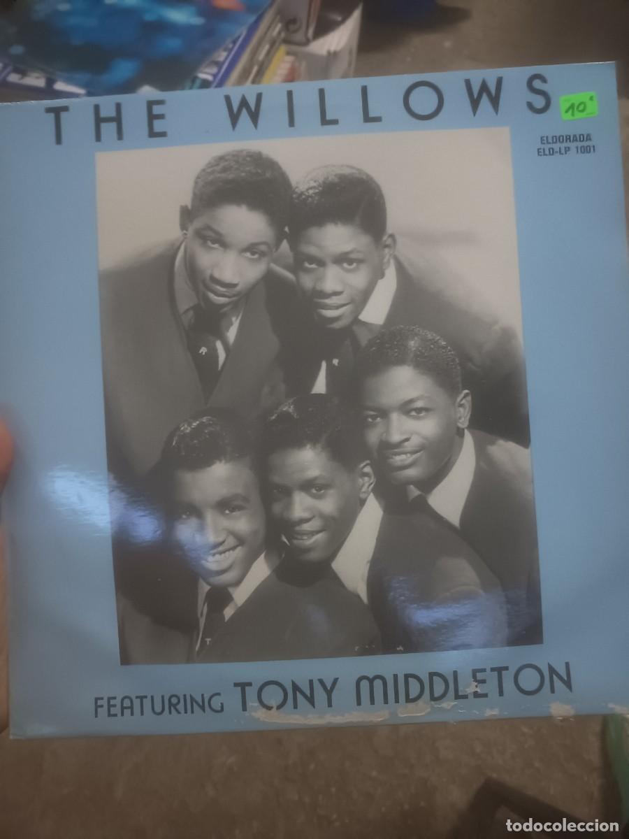 Discos de vinilo: DISCO LP THE WILLOWS - Foto 1
