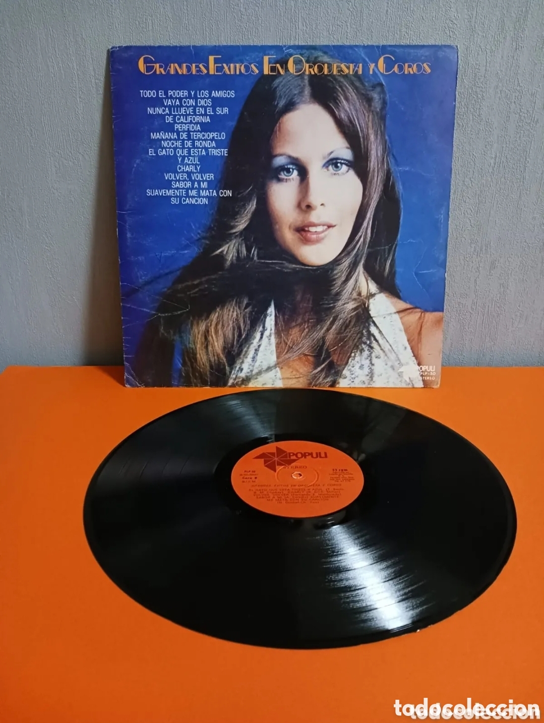 Discos de vinilo: Grandes &eacute;xitos en orquesta y coro. Lp de vinilo