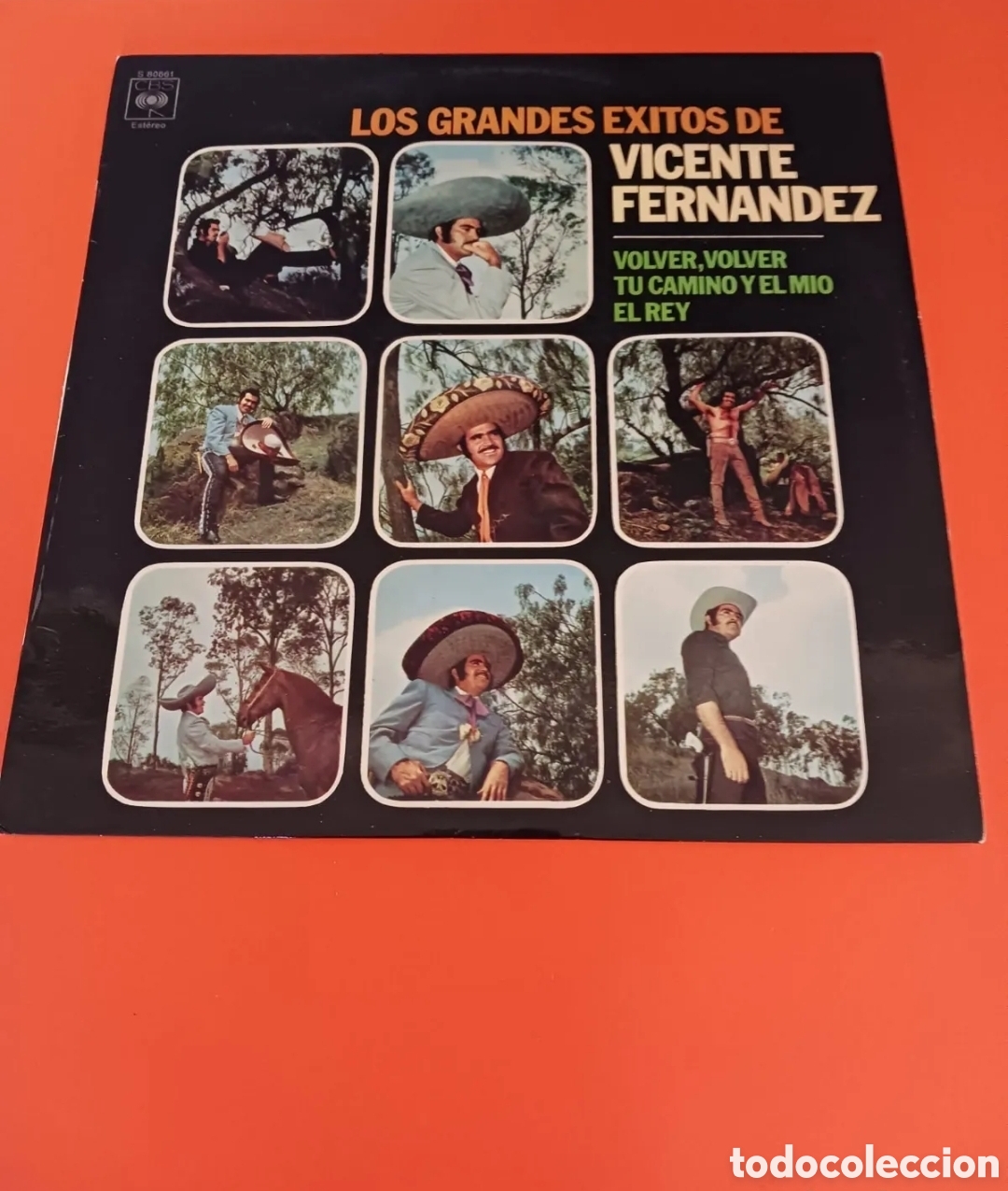 Discos de vinilo: Los grandes &eacute;xitos de Vicente Fern&aacute;ndez. Lp