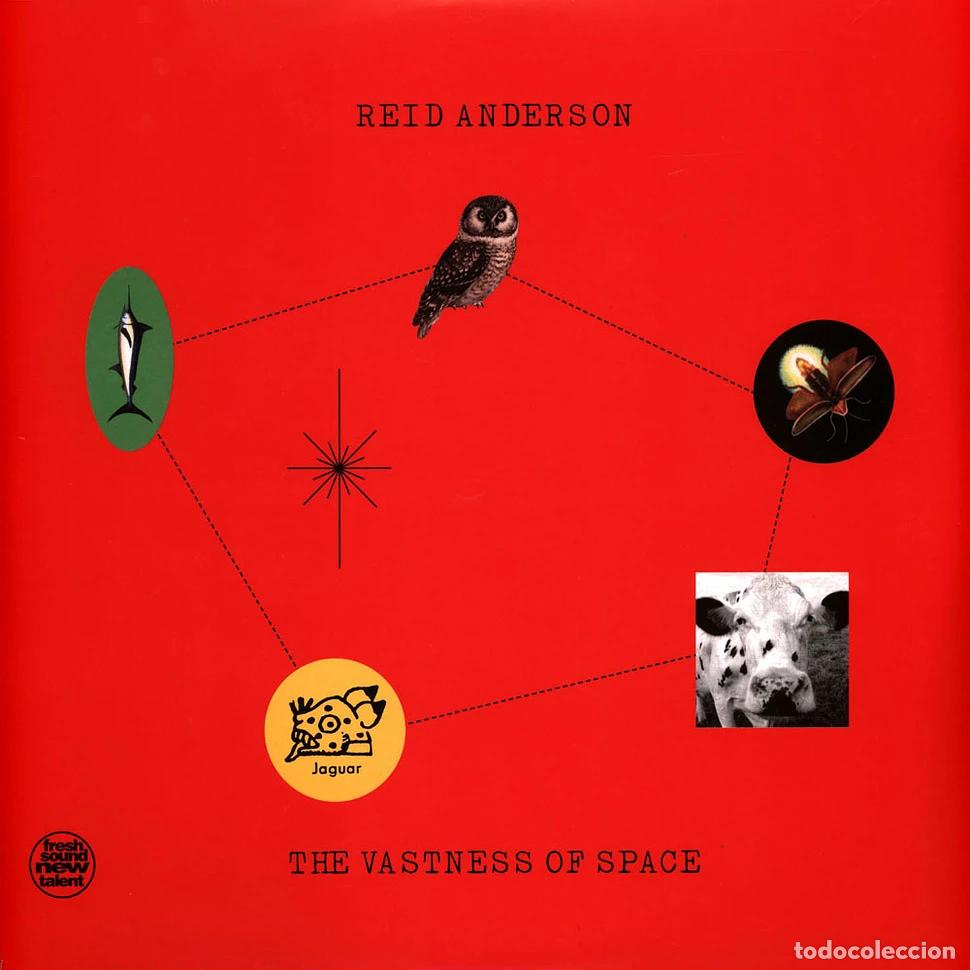 Discos de vinilo: Reid Anderson - The Vastness of Space (2-LP Set)