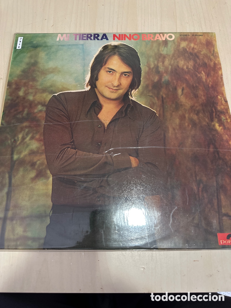 Discos de vinilo: VIN7918 mi tierra nino bravo segunda mano