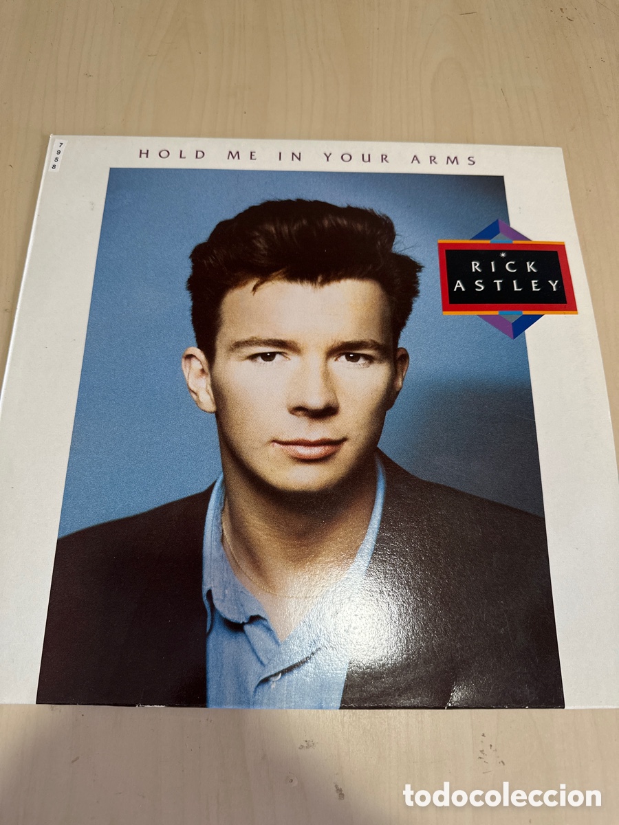 Discos de vinilo: VIN7958 rick astley hold me in your arms segunda mano