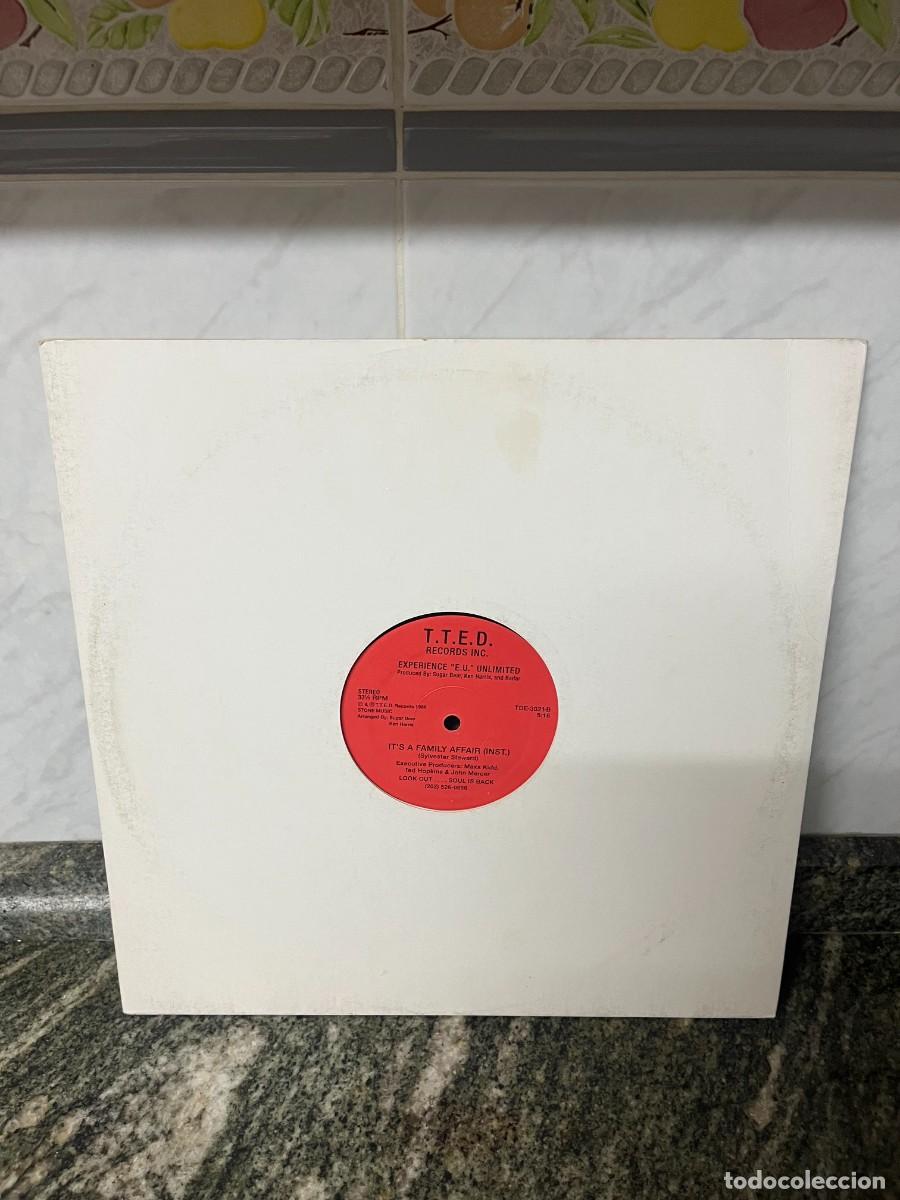Discos de vinilo: Experience &rdquo;E.U.&rdquo; Unlimited It's A Family Affair