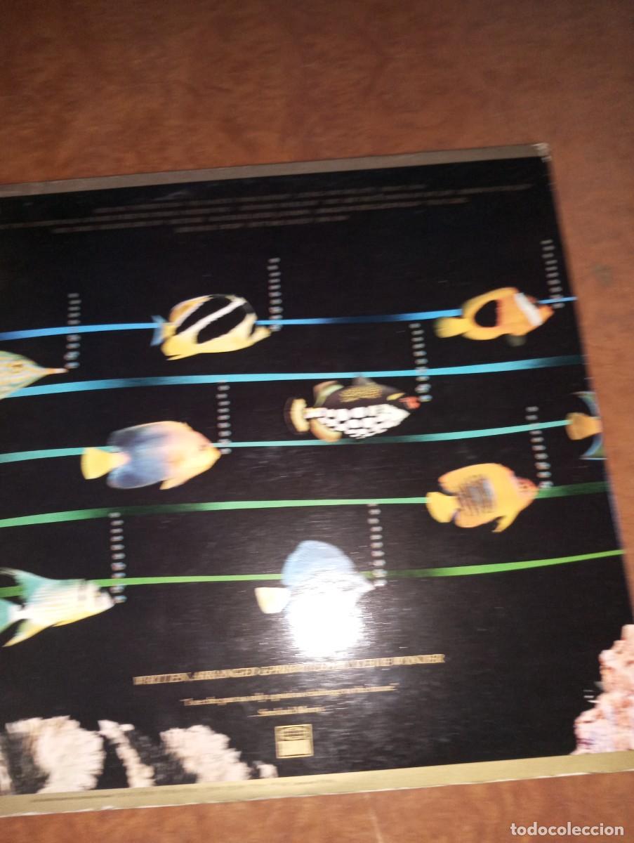 Discos de vinilo: STEVIE WONDER, Doble DISCO LP DE VINILO - Foto 3
