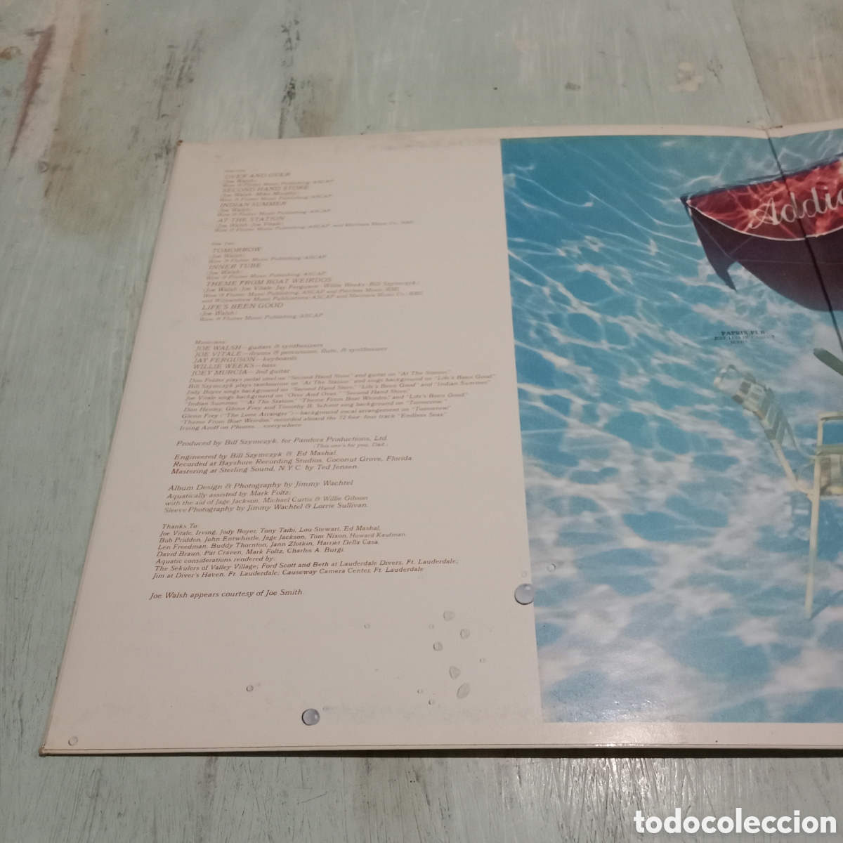 Discos de vinilo: JOE WALSH - &rdquo;BUT SERIOUSLY, FOLKS...&rdquo; - LP GATEFOLD - Foto 4