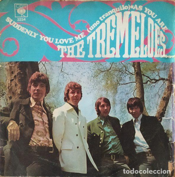 Dischi in vinile: The Tremeloes &ndash; Suddenly You Love Me = Uno Tranquilo / As You Are (Vinyl, CBS 3234)