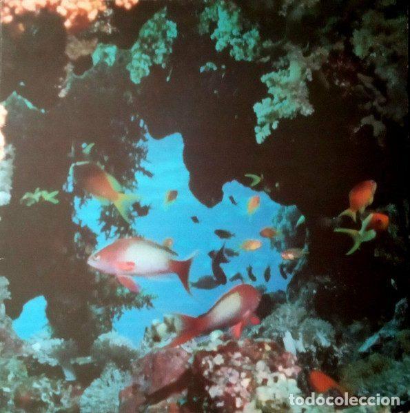Vinyl-Schallplatten: Ciudad Jardin &ndash; At&uacute;n Y Algas (Vinyl, Fonomusic 882110)