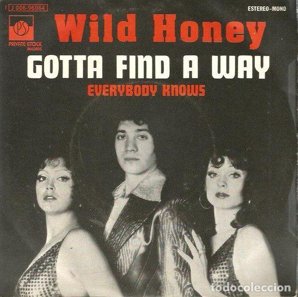 Discos de vinilo: Wild Honey &ndash; Gotta Find A Way (Vinyl, Private Stock 1 J 006-96.064)