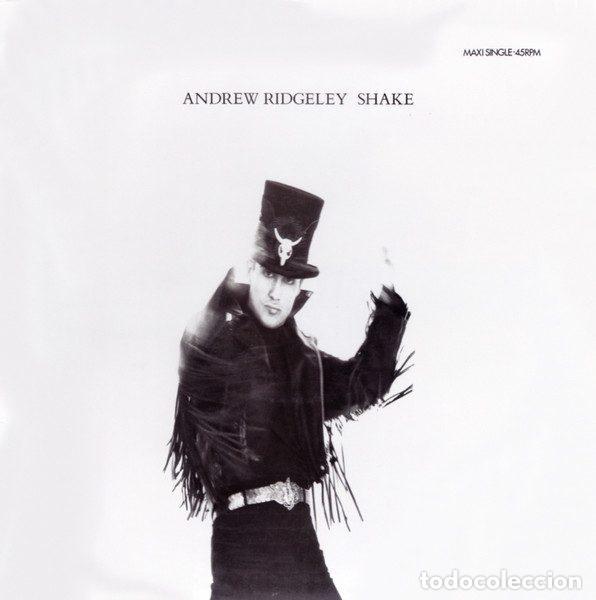 Discos de vinilo: Andrew Ridgeley &ndash; Shake (Vinyl, Epic EPC 655618 6)