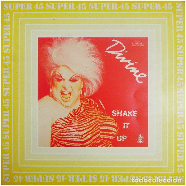 Vinyl records: Divine &ndash; Shake It Up (Vinyl, Vanguard 549 044)