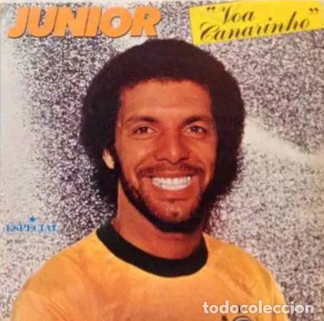 Discos de vinil: Junior &ndash; Voa Canarinho (Vinyl, Rca Especial 101.0862)
