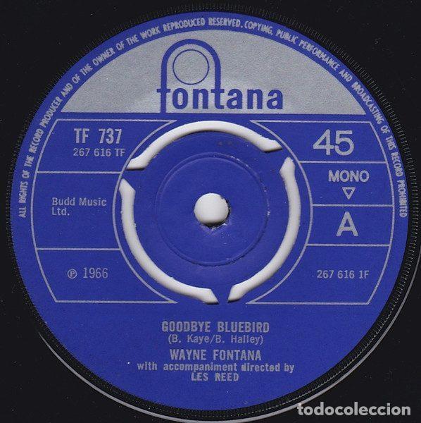 Vinyl-Schallplatten: Wayne Fontana &ndash; Goodbye Bluebird (Vinyl, Fontana TF 737)