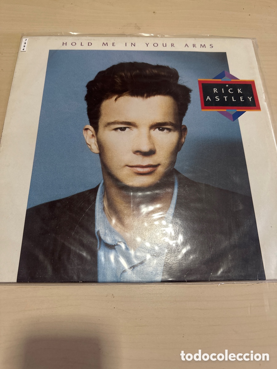 Discos de vinilo: VIN7994 hold me in your arms rick astley segunda mano