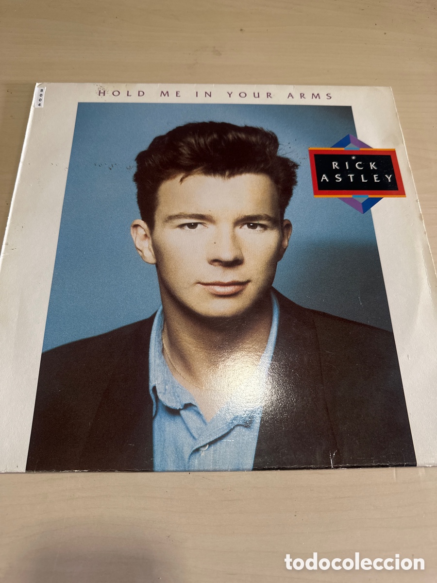 Vinyl records: VIN8004 hold me in your arms rick astley segunda mano