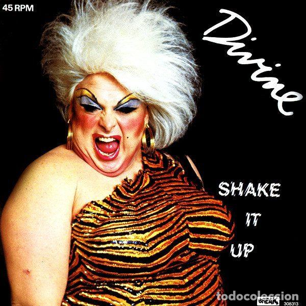 Disques de vinyle: Divine &ndash; Shake It Up (Vinyl, Break Records 308313)