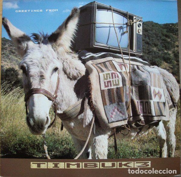 Vinyl-Schallplatten: Timbuk 3 &ndash; Greetings From Timbuk 3 (Vinyl, Illegal Records ILP 450107 1)