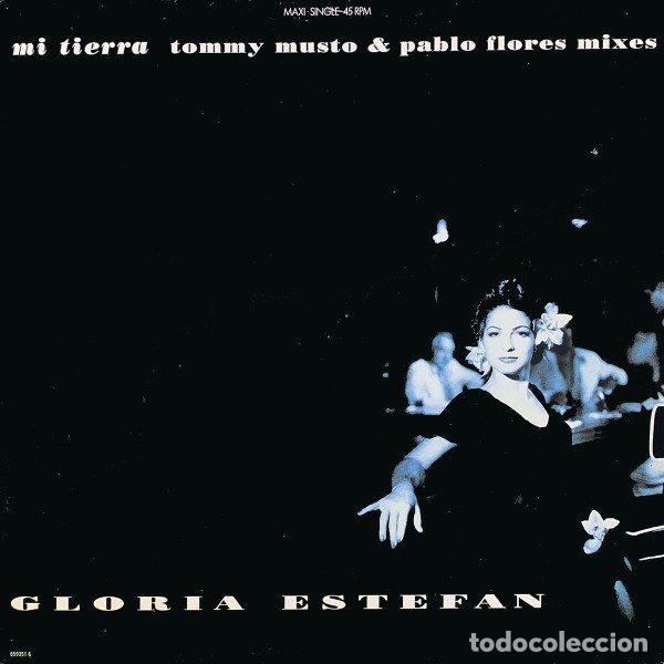 Vinyl records: Gloria Estefan &ndash; Mi Tierra (Vinyl, Epic 659351 6)