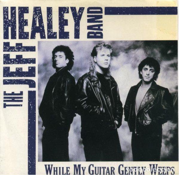 Dischi in vinile: The Jeff Healey Band &ndash; While My Guitar Gently Weeps (Vinyl, Arista 113622 (1A))