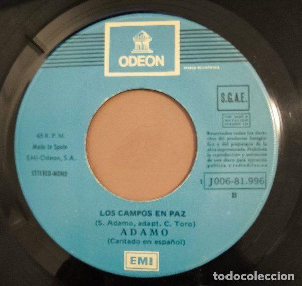 Discos de vinilo: Adamo &ndash; Es Mi Vida (Vinyl, Odeon 1J 006-81996) - Foto 4