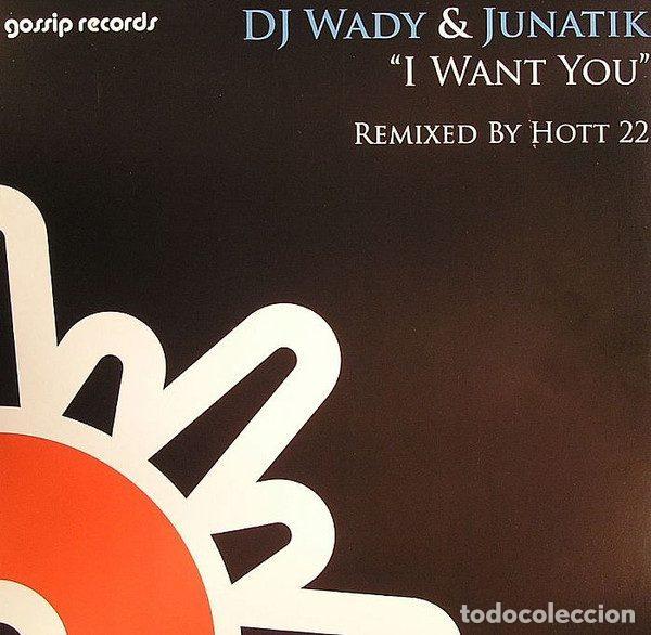 Disques de vinyle: DJ Wady & Junatik &ndash; I Want You (Vinyl, Gossip Records GG1080)