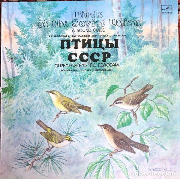 Discos de vinil: No Artist &ndash; Воробьиные: Пеночки И Пересмешки (Passeriformes: Leaf Warblers And Hippolais...