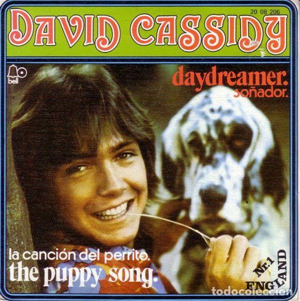 Vinyl-Schallplatten: David Cassidy &ndash; Daydreamer / The Puppy Song (Vinyl, Bell Records 20 08 206)