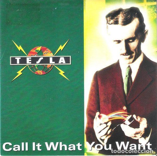 Vinyl records: Tesla &ndash; Call It What You Want (Vinyl, Geffen Records GES-19049)