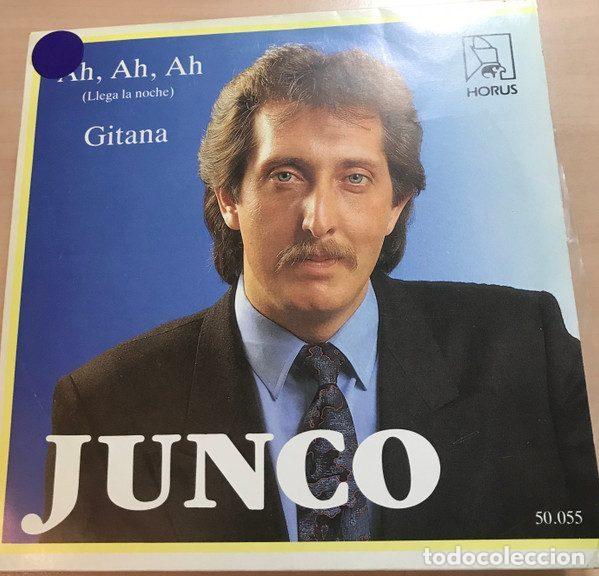 Dischi in vinile: Junco &ndash; Ah, Ah, Ah (Llega la Noche) (Vinyl, Horus 50.055)